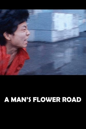 Image A Man's Flower Road