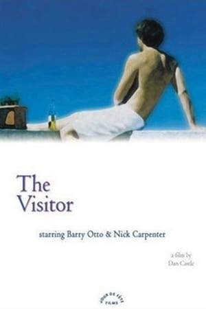 Poster The Visitor 2002
