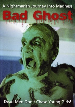 Poster Bad Ghost 2008