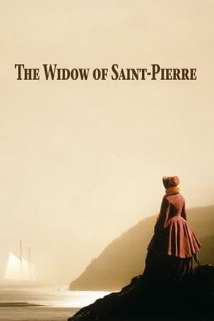 Image Die Witwe von Saint Pierre