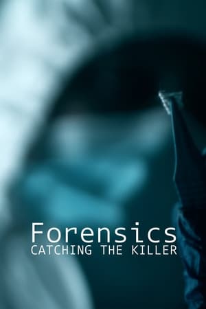 Poster Forensics: Catching the Killer Saison 1 2021