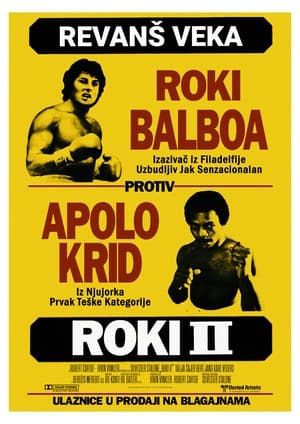 Poster Роки 2 1979