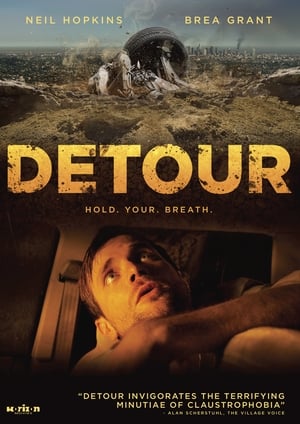 Poster Detour 2013