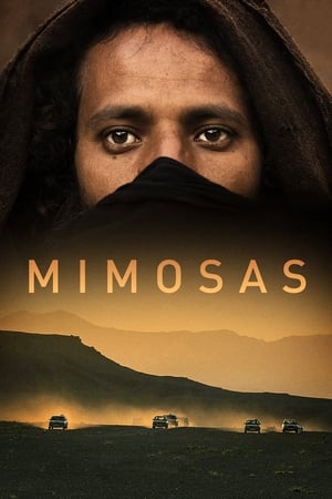 Poster Mimosas 2016