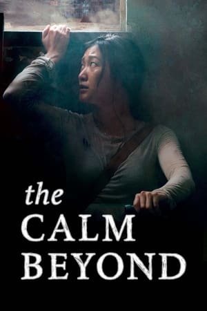 Poster The Calm Beyond 2020