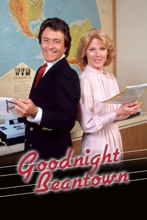 Poster Goodnight, Beantown 1983