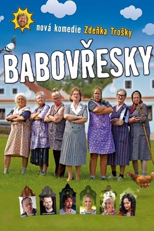Poster Babovřesky 2013