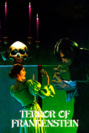 Poster Terror of Frankenstein 1977