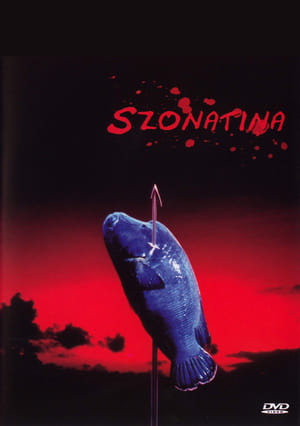 Poster Szonatina 1993