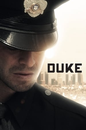 Poster Duke 2013