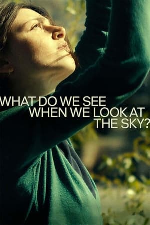Poster What Do We See When We Look at the Sky? 2021