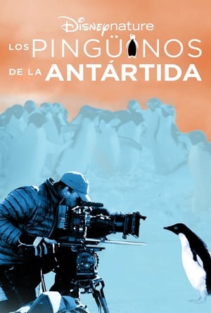 Image Los pingüinos de la Antártida