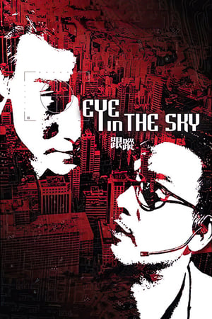 Poster Eye in the Sky 2007