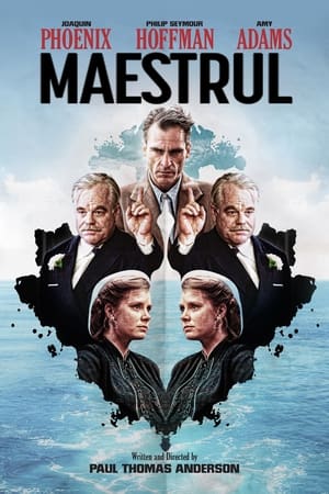 Poster Maestrul 2012