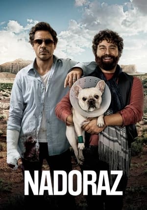 Poster Nadoraz 2010