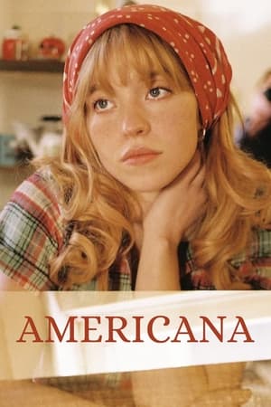 Poster Americana 2023
