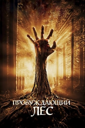 Poster Пробуждающий лес 2011