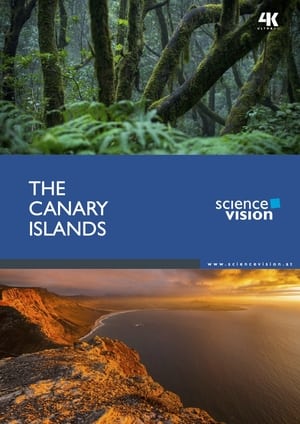 Poster The Canary Islands 2016