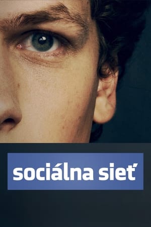 Poster Sociálna sieť 2010