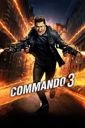 Image Commando 3