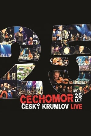 Poster Čechomor 25 let 2013