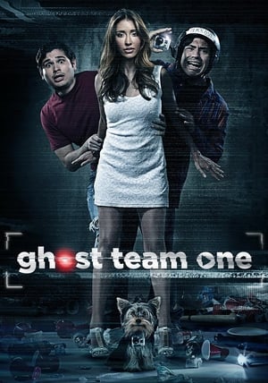 Poster Ghost Team One 2013
