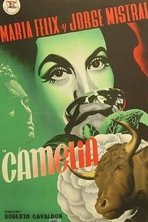 Poster Camelia 1954