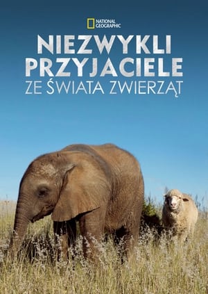 Poster Niezwykli przyjaciele ze świata zwierząt 2012