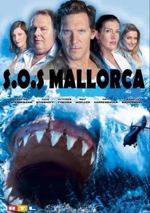 Poster SOS Mallorca 2004