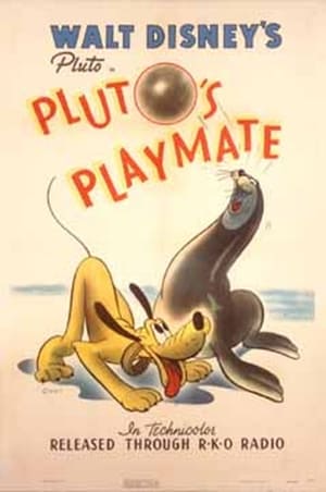 Image Towarzysz zabaw psa Pluto