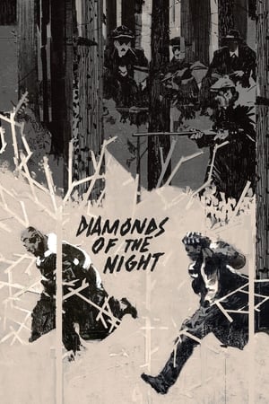 Image I diamanti della notte