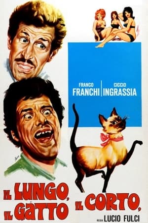 Poster Il lungo, il corto, il gatto 1967