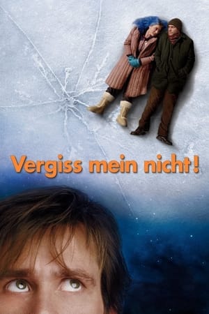 Poster Vergiss mein nicht! 2004