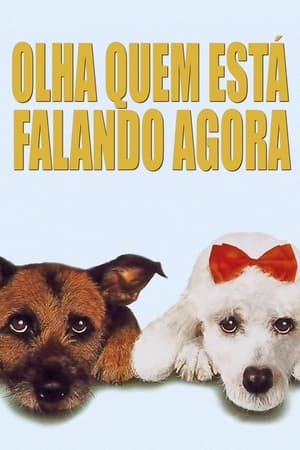 Poster Olha Quem Fala Agora! 1993