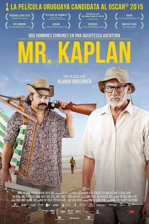 Poster Mr. Kaplan 2014