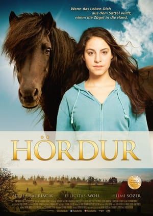 Poster Hördur - Between the Worlds 2015