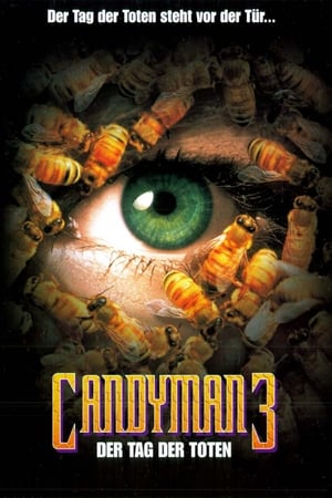 Poster Candyman 3 - Der Tag der Toten 1999