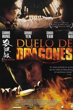 Poster Duelo de dragones 2005