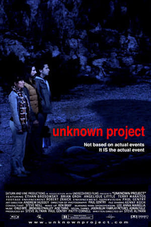 Poster Unknown Project 2013