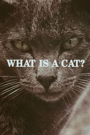 Image What Is a Cat?