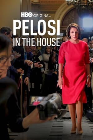 Image Pelosi in the House