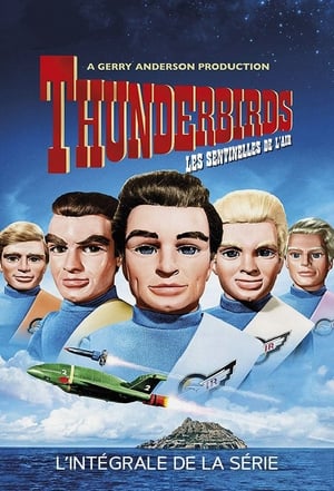 Image Thunderbirds, les sentinelles de l'air