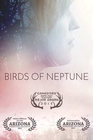 Poster Birds of Neptune 2015