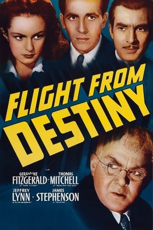 Poster Flight from Destiny 1941