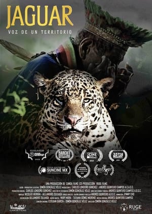 Image Jaguar: Voice of a Territory
