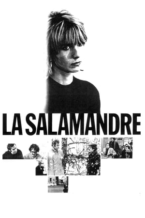 Poster Саламандра 1971