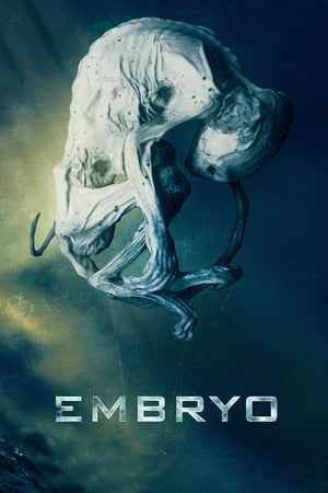 Poster Embrión 2020