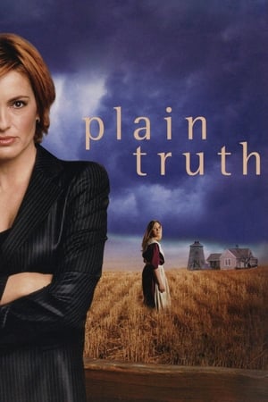 Poster La pura verdad 2004