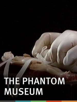 Poster The Phantom Museum: Random Forays Into the Vaults of Sir Henry Wellcome's Medical Collection 2003