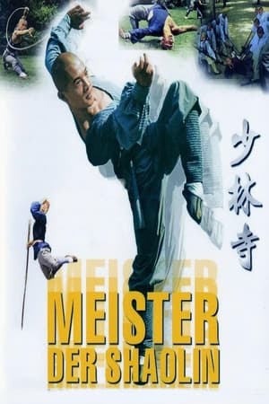 Poster Master der Shaolin 1994